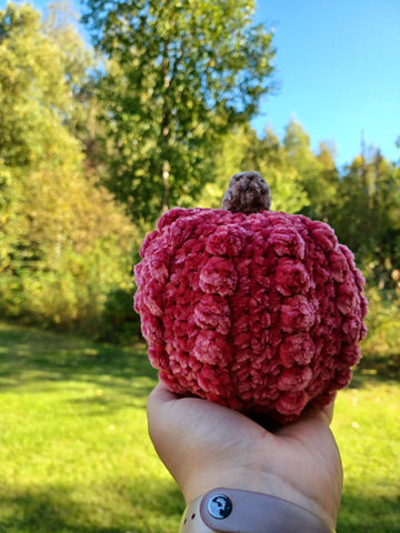 Velvet Pumpkins- Frosted Cranberry