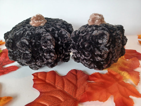 Velvet Pumpkins- Black